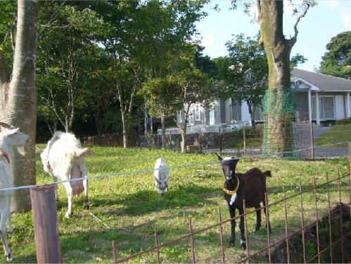 Lilac Hotels And Resort Kanoya Exterior foto